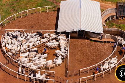 Carregamento da Turma ,  DH Agropécuaria , Veja imagens