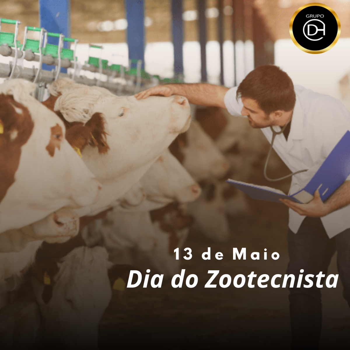 Esforço, dedicação e amor ao campo