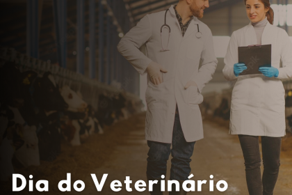 Ser veterinário é cuidar da saúde dos animais e sobretudo amá-los.