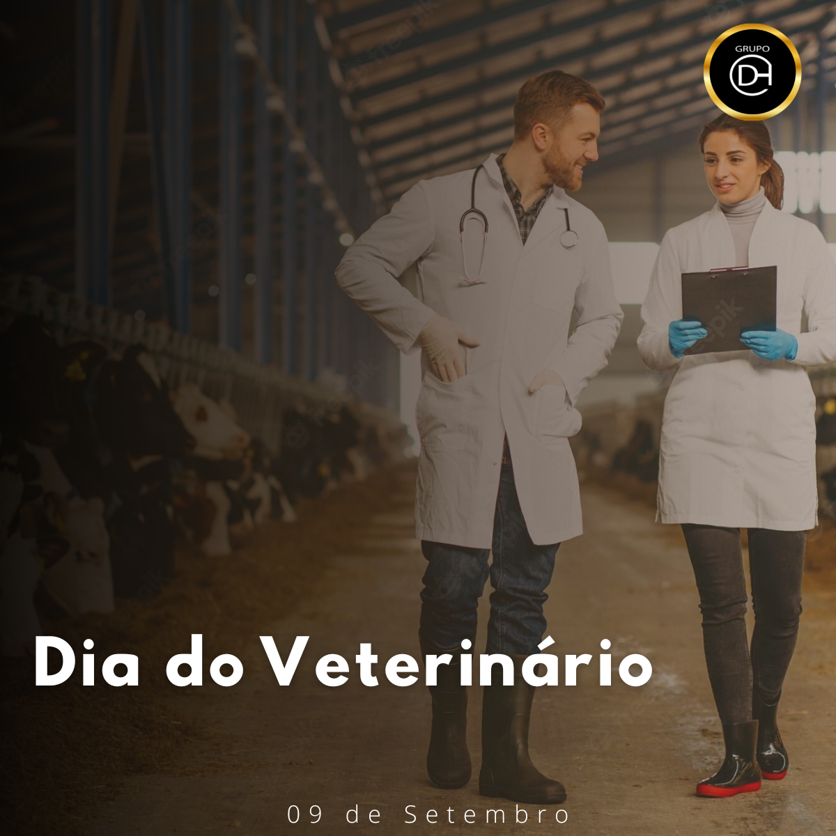 Ser veterinário é cuidar da saúde dos animais e sobretudo amá-los.