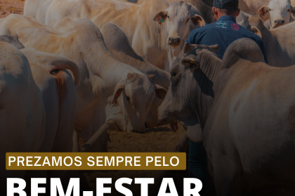 Diariamente contamos com colaboradores que se dedicam em garantir obem-estar dos animais