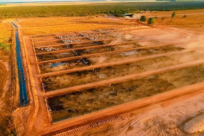 Na nossa fazenda, adotamos práticas sustentáveis para cuidar do meioambiente.